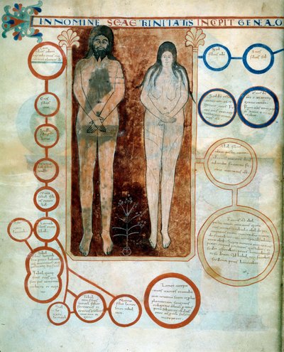 Representación de Adán y Eva, los medallones rojos representan la línea de Caín, destruida por el Diluvio. Miniatura que ilustra los comentarios de "El Apocalipsis según San Juan" escrito en 775 por el monje Beato de Liébana de French School