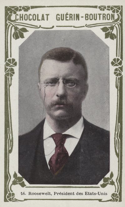 Roosevelt, Presidente de los Estados Unidos de French School