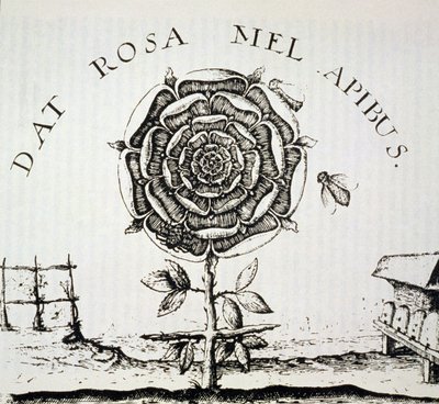 Alegoría Rosacruz, copia de un grabado de Johann Theodore de Bry (c.1598), usada en una Historia de la Magia, publicada a finales del siglo XIX de French School