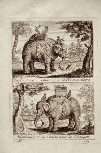 Elefantes reales, de Voyage du Siam des Peres Jesuites por Guy Tachard, 1688 de French School
