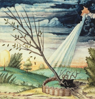 Tormenta, del Theatre des Vices et Vertus, de Jan van der Noot (c.1539-95) de French School
