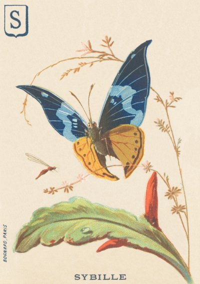 S: Sybil de French School
