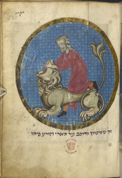 Sansón y el león, de North French Miscellany, c.1280 (vitela) de French School