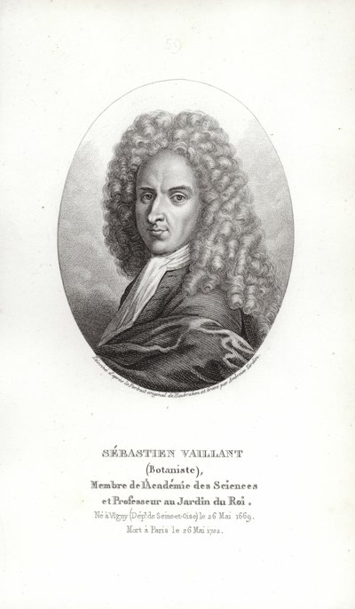 Sébastien Vaillant de French School