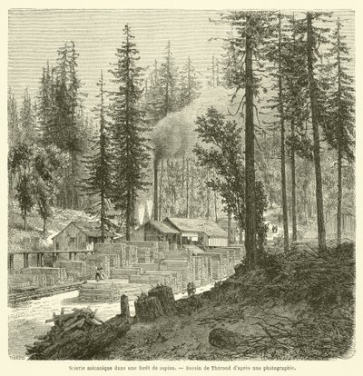 Aserradero mecánico en un bosque de abetos de French School