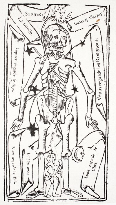 Esqueleto con signos del Zodiaco de French School
