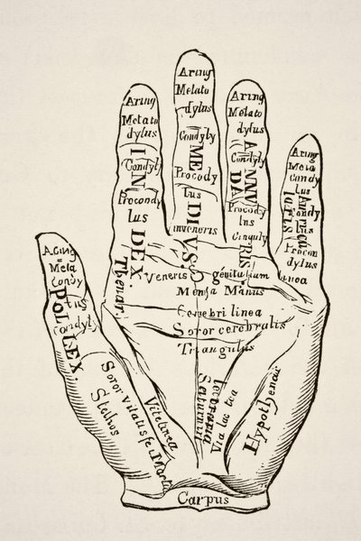 Espécimen de la mano izquierda con las líneas y sus denominaciones horoscópicas, de Science and Literature in The Middle Ages por Paul Lacroix pub. Londres 1878 de French School