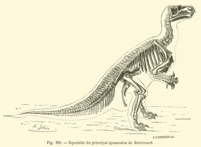 Esqueleto del principal iguanodonte de Bernissart de French School