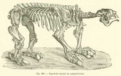 Esqueleto fósil del megaterio de French School