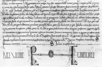 San Luis regulando los derechos de justicia de los Condes de Artois de French School