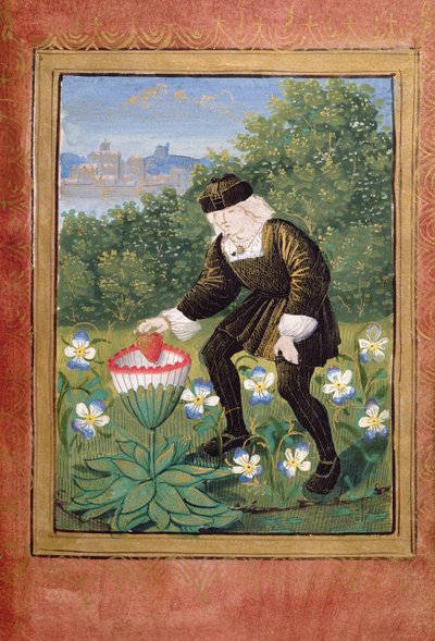 Stowe 955 ff.5v-6 Miniatura de Pierre Sala dejando caer 