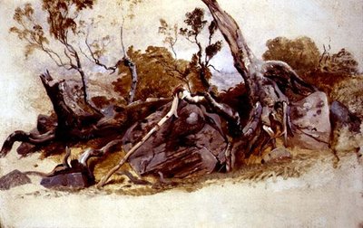 Estudio de árboles, c.1825 de French School