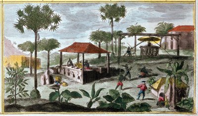 La producción de azúcar en las Antillas, detalle de 00155 - en "Historia general de las Antillas habitadas por los franceses por Du Tertre", principios del siglo XIX de French School