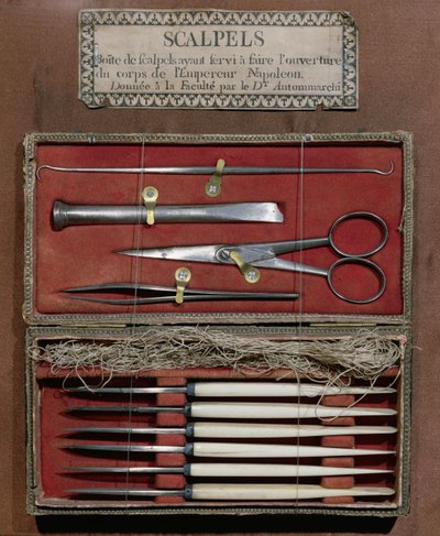 Instrumentos quirúrgicos utilizados por el Doctor Antommarchi para la disección del Emperador Napoleón I (1769-1821) de French School