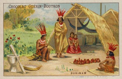 Surinam de French School