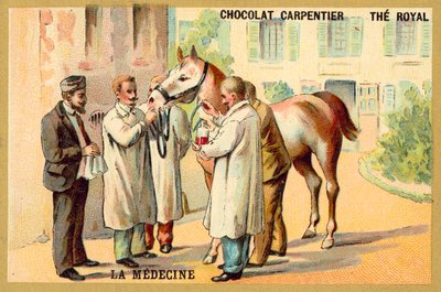 Extracción de sangre de un caballo de French School