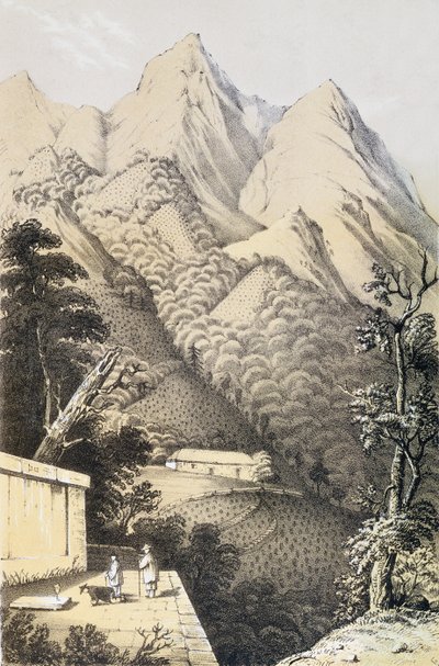 Plantaciones de té en el distrito de té verde de China, tomado de Un viaje a los países del té de China, publicado por primera vez en 1852, por Robert Fortune (1812-1880) de French School