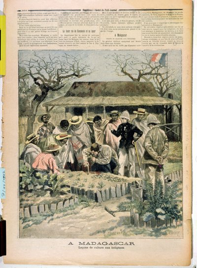 Métodos de enseñanza del cultivo a los nativos de Madagascar, de Le Petit Journal, 7 de noviembre de 1896 de French School