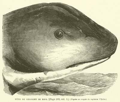 Cabeza de la Serpiente de Mar de French School