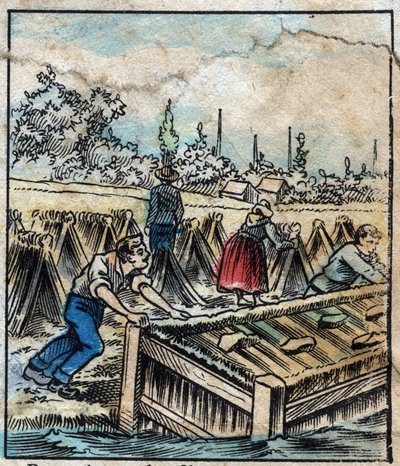 Textil, lino. Óxido de lino: Para separar los filamentos de paja, los haces de lino se sumergen en agua. Grabado. Imagen de Épinal de finales del siglo XIX. de French School