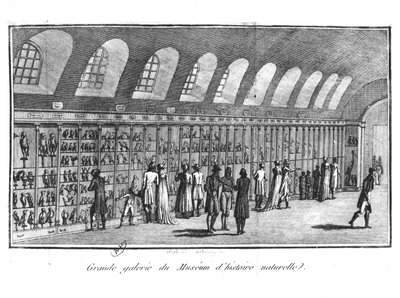 La Gran Galería del Museo de Historia Natural en París de French School
