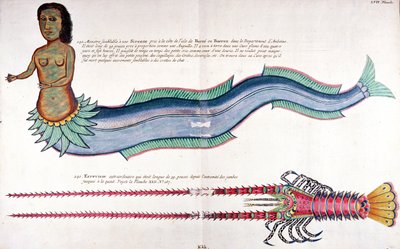 La sirena de Amboyna, de 
