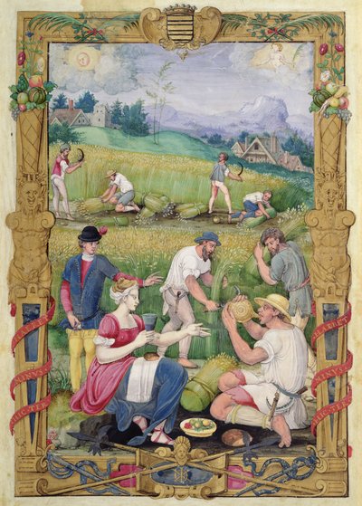 El mes de agosto: La cosecha de French School