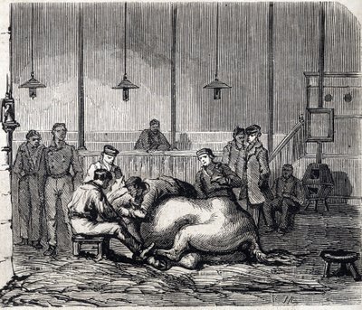 La escuela nacional de veterinaria de Alfort - Les grandes écoles de France - école vétérinaire de maison Alfort en 1866 - la sala de disección - Grabado en “Le Monde Illustré” de 1866 de French School