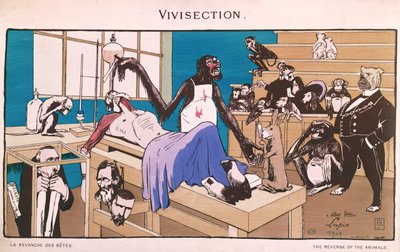 La venganza de los animales, caricatura de vivisección, 1909 de French School