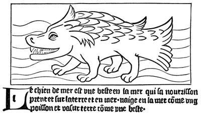 El Perro del Mar de French School