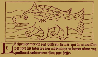 El Perro del Mar de French School