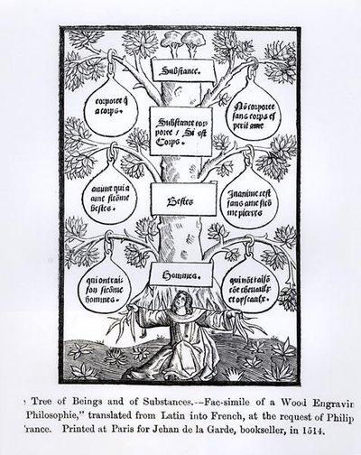 El árbol de los seres y la sustancia, impreso en 1514, ilustración de Ciencia y Literatura en la Edad Media y el Renacimiento, escrito y grabado por Paul Lacroix, 1878 de French School