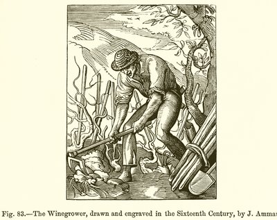 El viticultor de French School