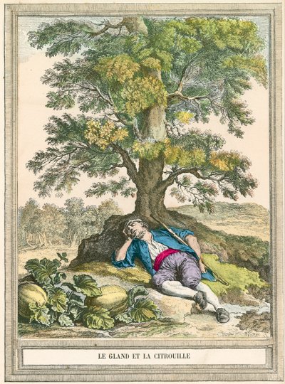 La bellota y la calabaza de French School