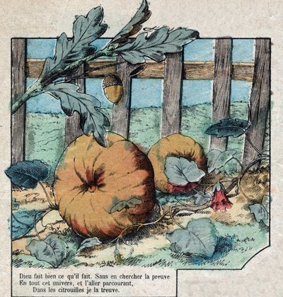 La bellota y la calabaza. Fábulas de Jean de La Fontaine (1621-95). Imágenes de Épinal finales del siglo XIX. de French School