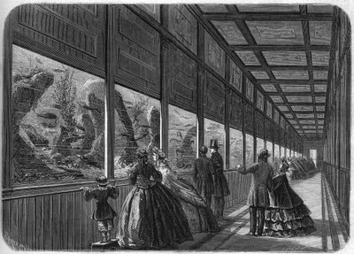 El acuario del jardín de aclimatación de París en 1863. de French School