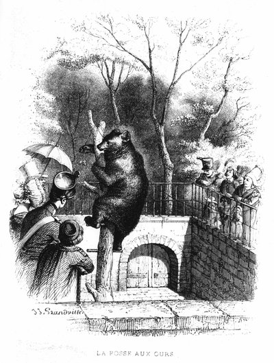 El foso de los osos del jardín de plantas en París - grabado de French School