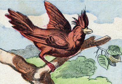 El cardenal. Grabado en "Buffon Alphabet des Oiseaux n 2". 3ª Serie N 2. Imágenes de Epinal, Epinal, finales del siglo XIX. 16 páginas. de French School