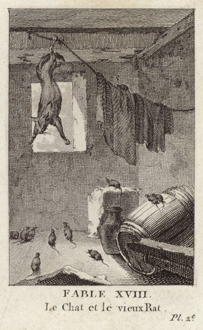 El gato y la vieja rata de French School
