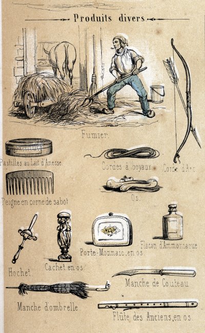 El burro y sus productos grabado de 1860 en “Las recreaciones instructivas” Pintura sinóptica de Jules DELBRUCK. Colección privada de French School