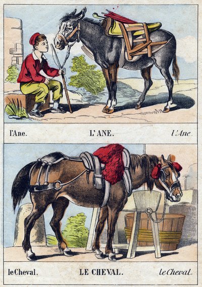 El burro y el caballo. Grabado en "Buffon Alphabet des Animaux". 3ª Serie N 1. Imágenes de Epinal, Epinal, finales del siglo XIX. 16 páginas. de French School