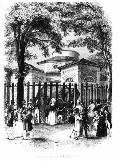 La rotonda del elefante del jardín de plantas en París - grabado de French School