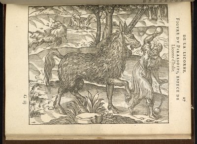 La caza de un unicornio de dos cuernos (un pirassoipi.) de 
