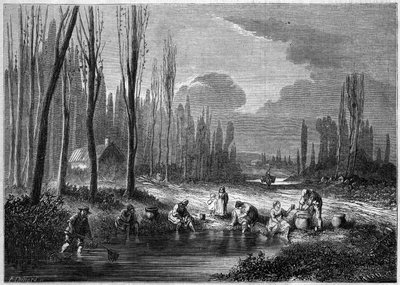 La pesca de sanguijuelas en las cercanías de Versalles de French School