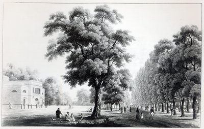 La avenida principal en el Prater, Viena, 1821 de French School