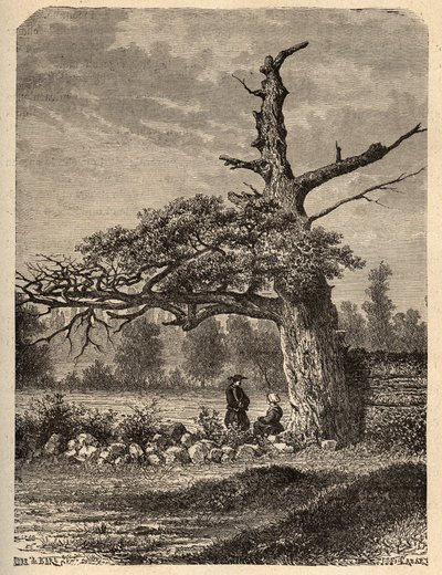 El roble de Enrique IV en Sainte Foix, cerca de Rennes. Grabado en 