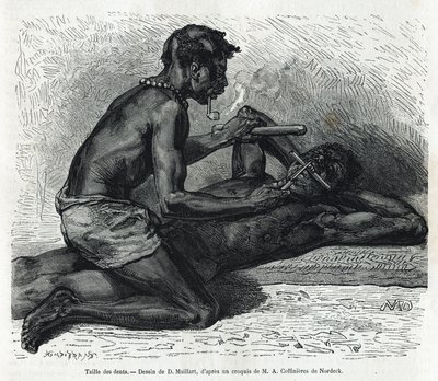 El tamaño de los dientes en el Okanda, dibujo de D. Maillard, para ilustrar la historia de un viaje a Gabón y el río Ogoue en 1875-1877, por Alfred Marche. Grabado en Le tour du monde de French School