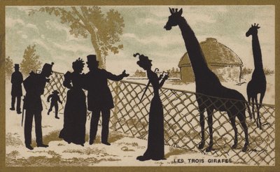 Las tres jirafas de French School