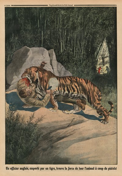 Tigre atacando a un oficial británico, ilustración de la contraportada de 