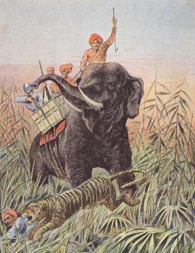 Caza del tigre, India (litografía en color) de French School